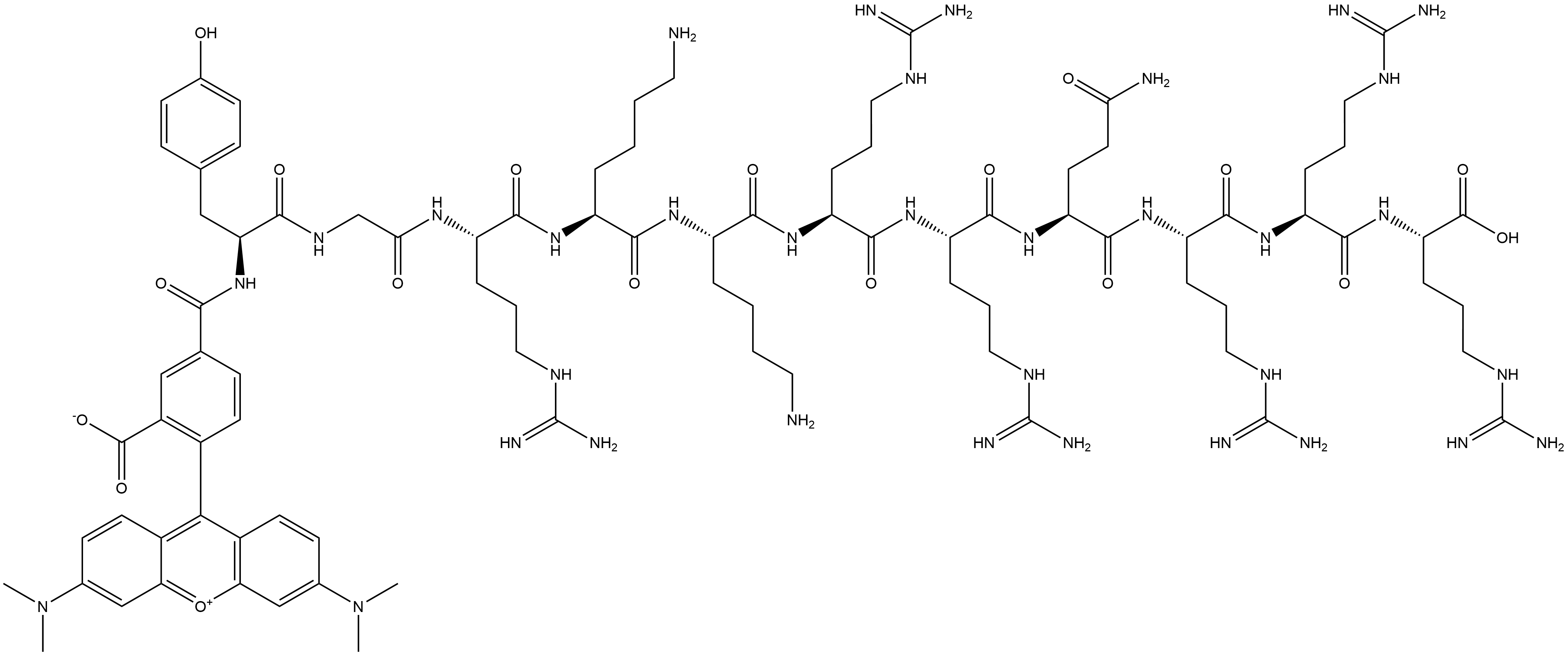 TAMRA-TYR-GLY-ARG-LYS-LYS-ARG-ARG-GLN-ARG-ARG-ARG-OH Structural