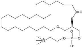 HEPTANOYL THIO-PC Structural