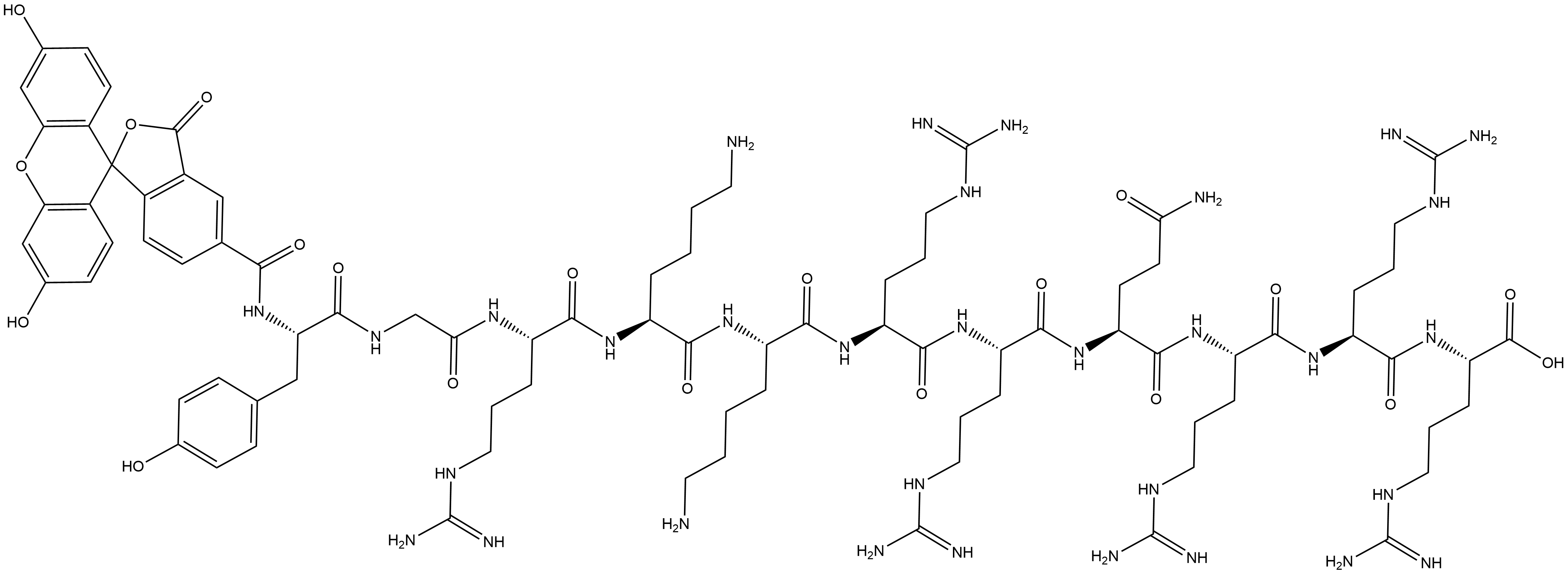 FAM-TYR-GLY-ARG-LYS-LYS-ARG-ARG-GLN-ARG-ARG-ARG-OH Structural