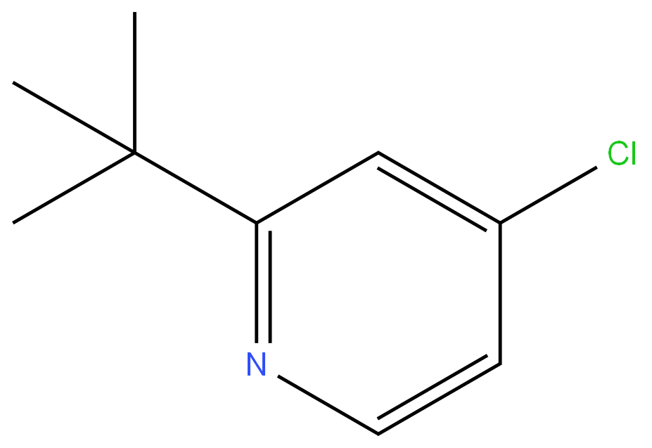 1163706-64-6 2-tert-butyl-4-chloropyridine 98%