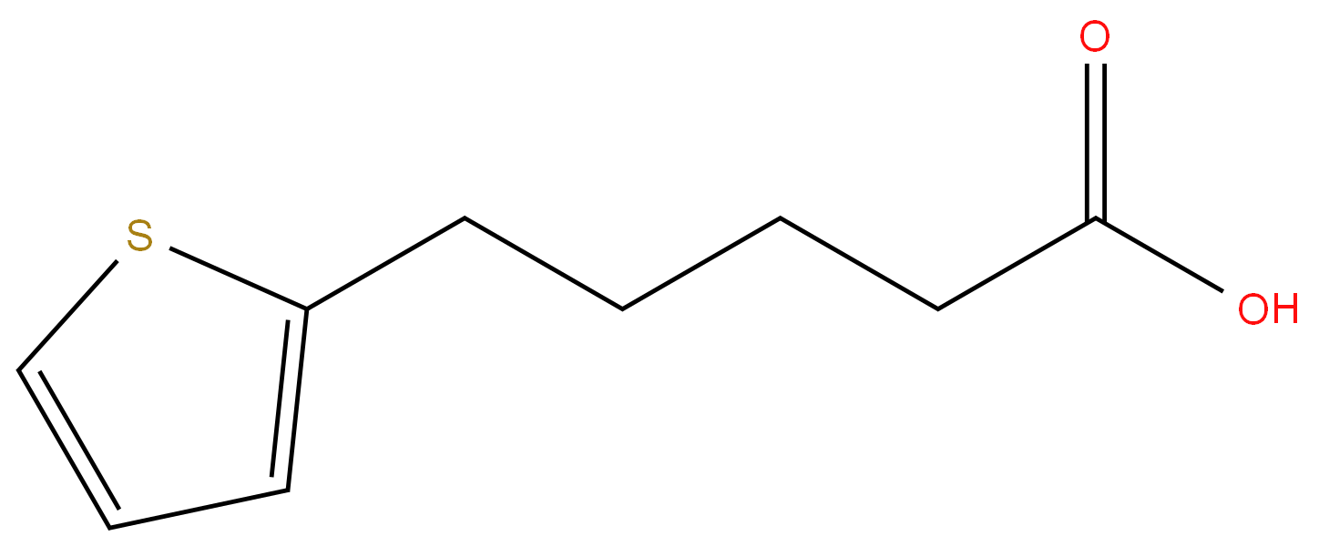 21010-06-0 5-(2-Thienyl)pentanoic acid-95% 99%