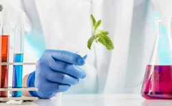 2-Hydroxy-3-Amino-5-Bromopyridine39903-01-0