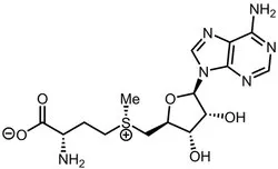 S-Adenosyl-L-Methionine, Purity: Greater Than 99%, 1 kg / 5 kg / 10 kg / 25 kg