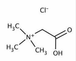 Betaine Hydrochloride