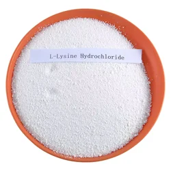 L-Lysine Hydrochloride, Packaging Type: Bag, Packaging Size: 25kg