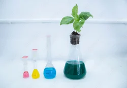 1,18,-Octadecanedicarboxylic Acid