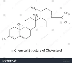 Cholesterol Chemical .