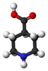 Isonipecotic Acid Powder For Industrial Uses