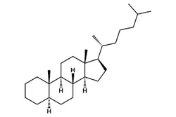 95% alpha-Cholestane (working standard), Analytical Grade