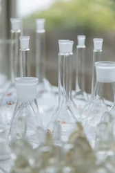 4-BENZYLOXYBENZYL CHLORIDE