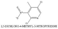 2,5-Dichloro-4-Methyl-3-Nitropyridine(CAS 884495-05-0)