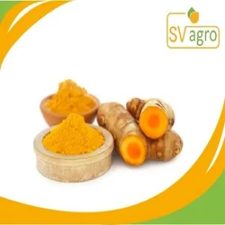 Powder Curcumin 95% Extract, 25 Kg, Packaging Type: Drum