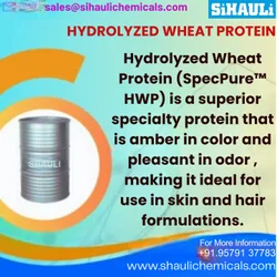 Hydrolyzed Wheat Protein, 25 Kg