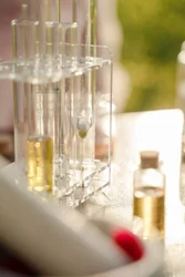 2,2-Thiodiethylene Bis[3-(3,5-Ditert Butyl-4-Hydroxy Phenyl)Propionate] (Irganox1035 Rs)