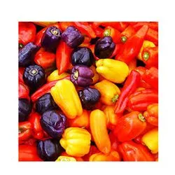 Janvi Herbs Capsicum Oleoresins