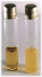 Laboratory BHI BROTH, for Health