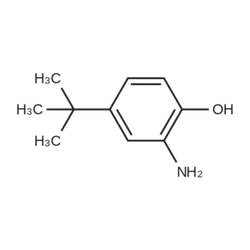 2 Amino 4 Tert Butylphenol