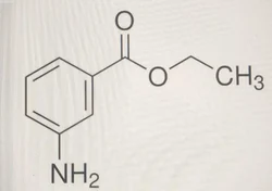Ethyl 3 Aminobenzoate Chemical Powder