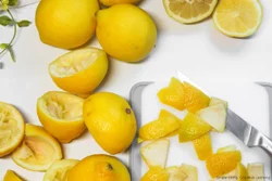 Lemon Peel Extract (Citrus limon), Packaging Type: HDPE Bag, 25 Kg