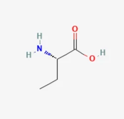 L 2 Aminobutyric Acid