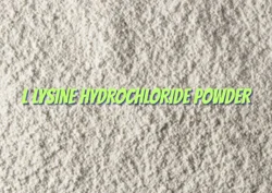 L Lysine Hydrochloride Powder, Packaging Size: Text, Packaging Type: HDPE Bag