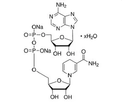 Beta-Nicotinamide Adenine Dinucleotide, Reduced Disodium Salt (Beta-NADH) (CAS Number: 606-68-8)
