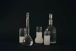 Sialyl Lewis x (Slex),98603-84-0