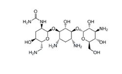 Greater than 99% Nebramycin Factor 11, Analytical Grade