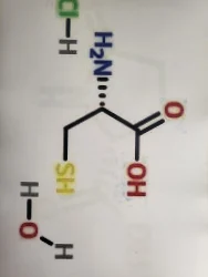 2,4-Thiazolidinedione CAS2295-31-0