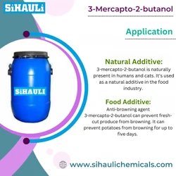 3-Mercapto-2-butanol(2-Mercapto-3-butanol and 3-sulfanylbutan-2-ol)