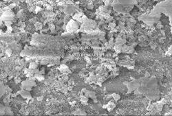 Hydroxyapatite Nanoparticles/ Nanopowder