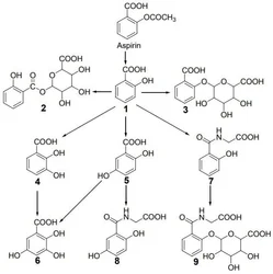 Hydrocortisone Acetate Cas 50 03 3, Grade Standard: BP