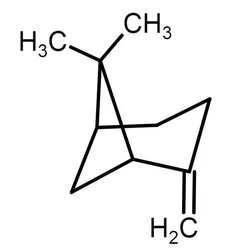 Beta Pinene
