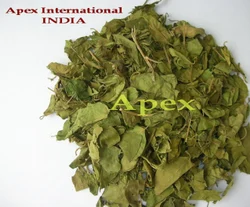 Gymnema Sylvestre Extract, Packaging Type: Bag, Pack Size: 20Kg