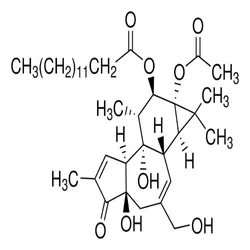 Phorbol 12-myristate 13-acetate - P8139-5MG, For Research Grade