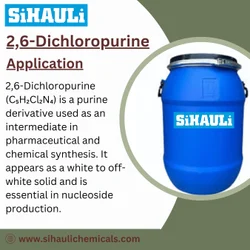2, 6- Dichloropurine
