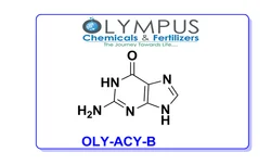 Acyclovir Impurity B And EP RRT - 0 4