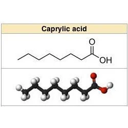 Capric Acid