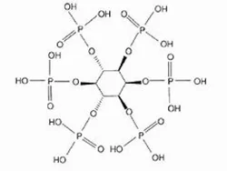 Inositol Hexaphosphate