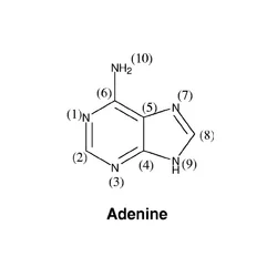 Powder Adenine, Packaging Type: Drum, 1 KG