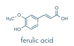 Ferulic Acid Phytochemical Powder
