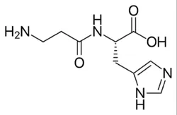 L-Carnosine