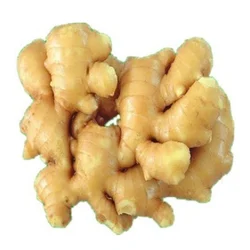 Ginger Extract 3%