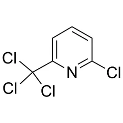 White 2-Chloro-6-(trichloromethyl) Pyridine, Packaging Type: Drum