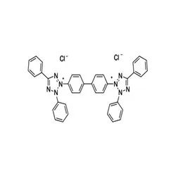 Neotetrazolium Chloride (CAS Number: 298-95-3)