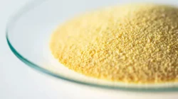 5 kg Camphorquinone, Powder