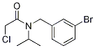 N-(3-BroMo-benzyl)-2-chloro-N-isopropyl-acetaMide Structural
