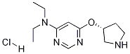 Diethyl-[6-((R)-pyrrolidin-3-yloxy)-pyriMidin-4-yl]-aMine hydrochloride Structural