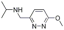 Isopropyl-(6-Methoxy-pyridazin-3-ylMethyl)-aMine Structural