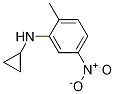 Cyclopropyl-(2-Methyl-5-nitro-phenyl)-aMine Structural